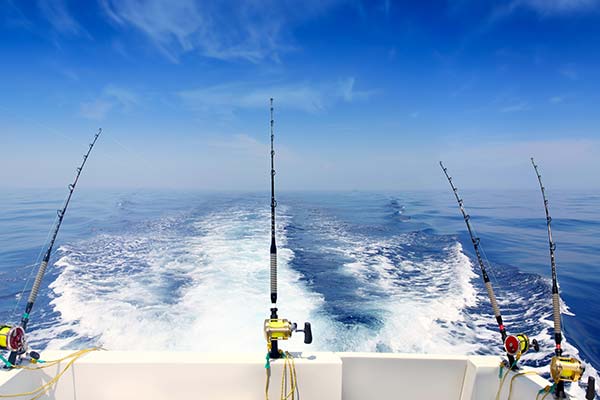 Full Day Fishing Charter